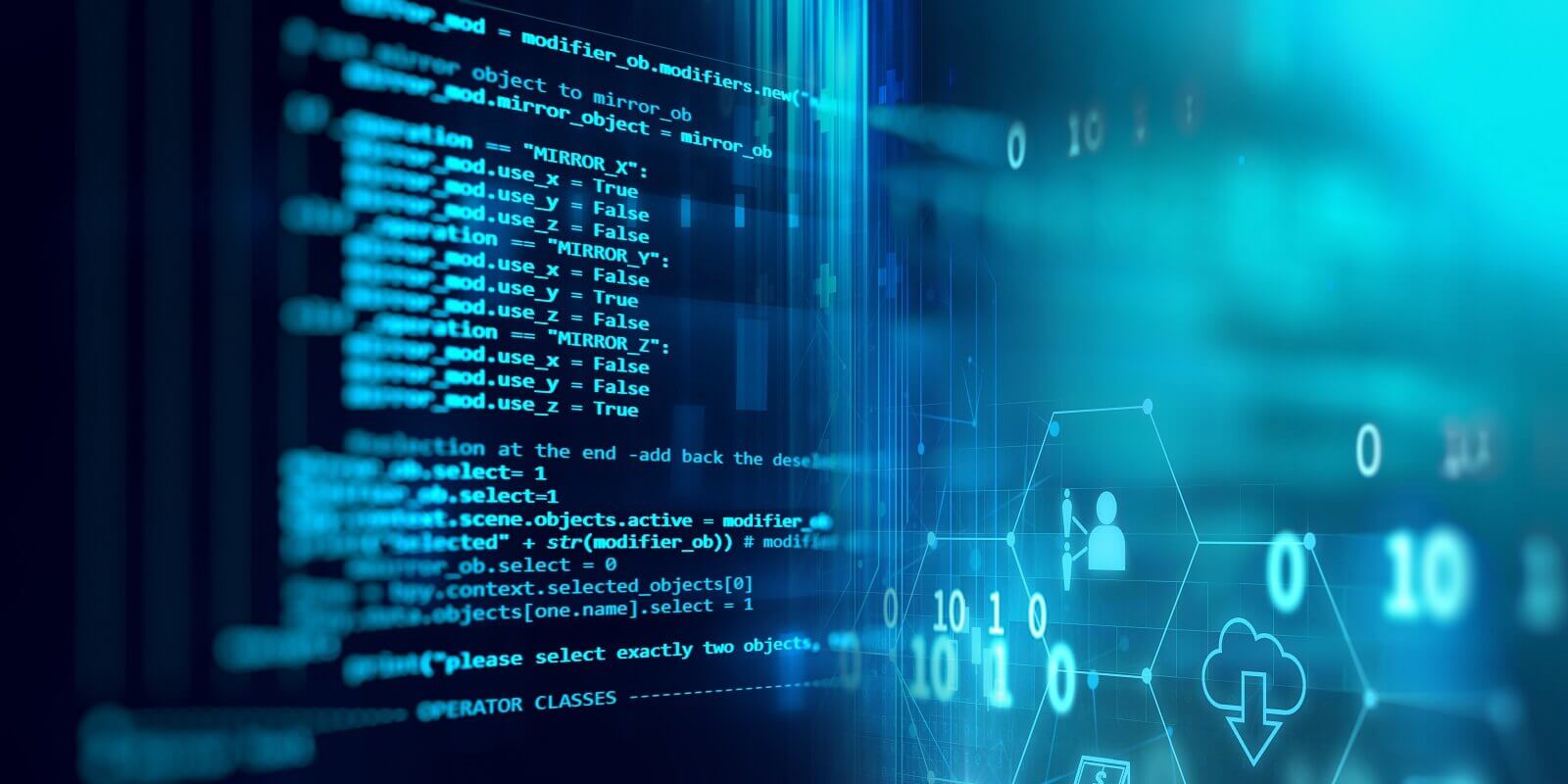 Software Developer